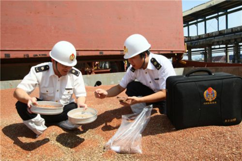 进出口粮食检疫严把控 新办法7月份正式执行