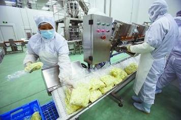 脱水蔬菜自动化生产线 带动孟津县农民增收致富