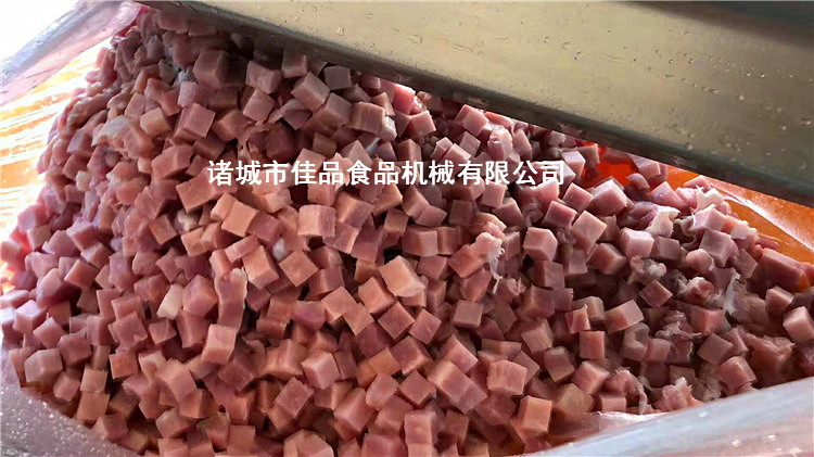 多功能牛肉切丁机 宠物食品肉丁机 佳品机械