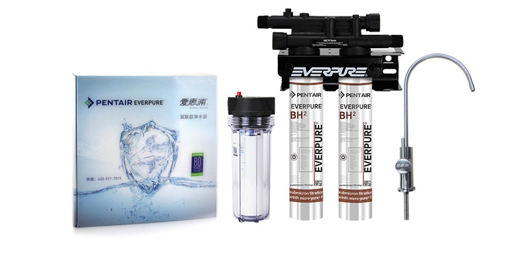 美国进口爱惠浦（Everpure）BH2 双联净水器 过滤系统 商用