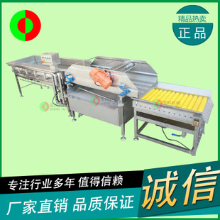 大型商用切菜机 高产量瓜果切丝切片切丁 不锈钢自动多功能切菜机