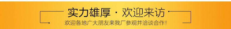 商用不锈钢奶昔机 鲜奶吧奶茶店专用奶昔机设备放心选购