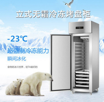 厂家直销商用四门冰箱单温冷冻负28度不锈钢立式冷柜厨房无霜冰柜