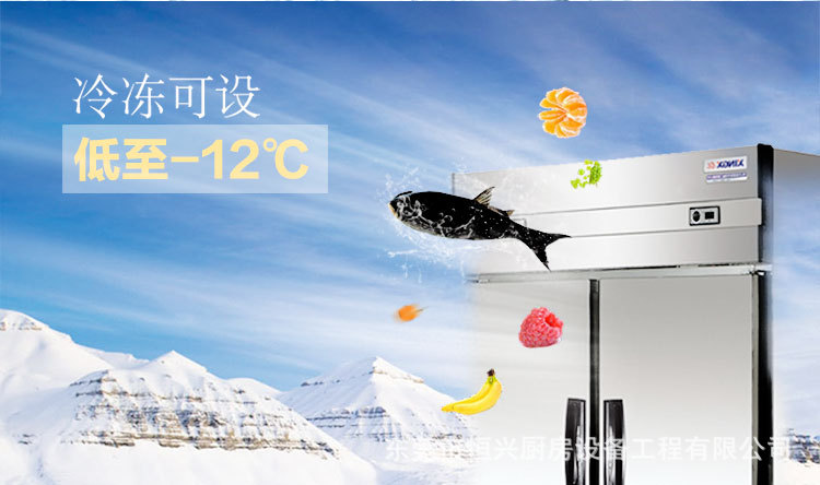 格林斯达星星冰柜商用工作台冷藏冷冻四门机械控温带移动轮直销
