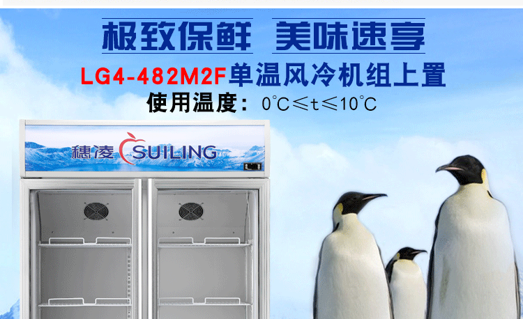 穗凌LG4-482M2F 展示冰柜商用双门立式风冷冷藏保鲜柜玻璃饮料柜