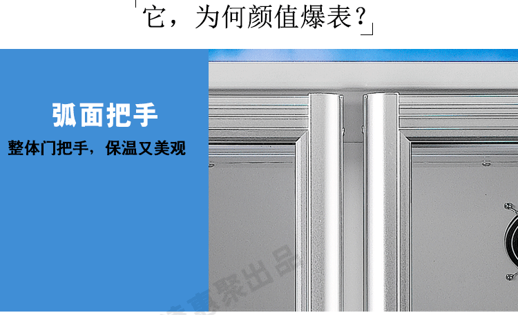 穗凌LG4-482M2F 展示冰柜商用双门立式风冷冷藏保鲜柜玻璃饮料柜