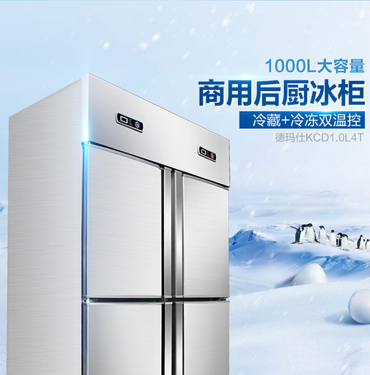 德玛仕商用展示柜冷藏 饮料展示柜 立式冰柜 冷冻立式双门-680L