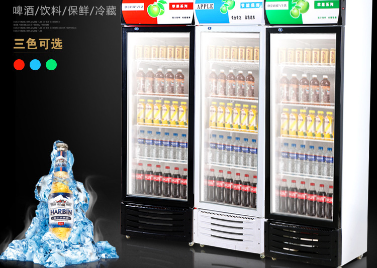 奇博士啤酒饮料展示柜立式冷藏柜冰箱商用冰柜双门单门饮品保鲜柜
