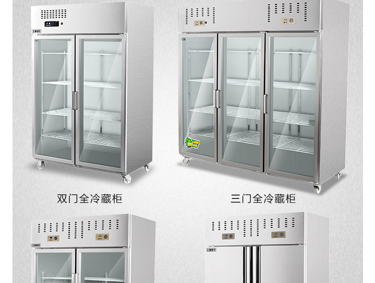 奇博士冷藏冷冻柜 商用展示柜 立式保鲜冰箱冰柜双门三门冷藏冰柜