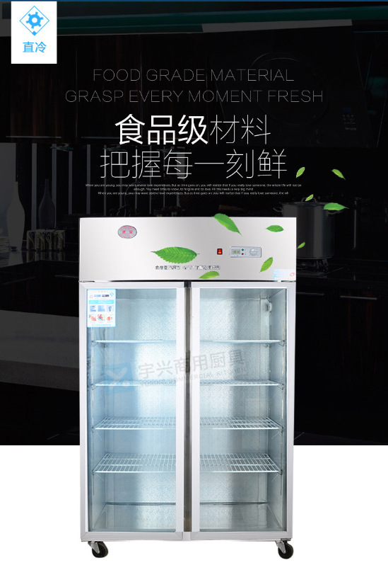 德宝双门展示冰柜 立式冷冻超市展示冰柜 饮料啤酒陈列冷柜1.2米