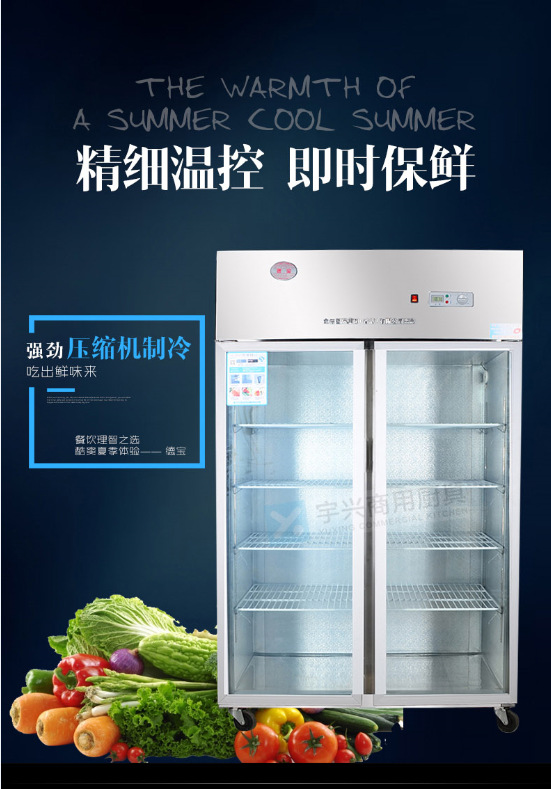德宝双门展示冰柜 立式冷冻超市展示冰柜 饮料啤酒陈列冷柜1.2米