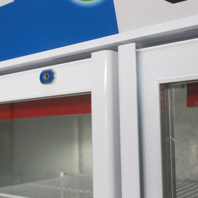 厂家现货供应单门双门啤酒展示柜 冷藏立式冰柜 冷饮保鲜柜