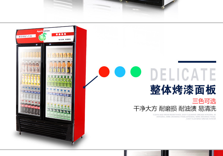 奇博士啤酒柜商用保鲜展示柜立式饮料冷藏柜蔬菜冷藏保鲜陈列冰柜