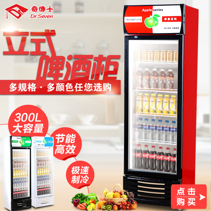 奇博士啤酒柜商用保鲜展示柜立式饮料冷藏柜蔬菜冷藏保鲜陈列冰柜
