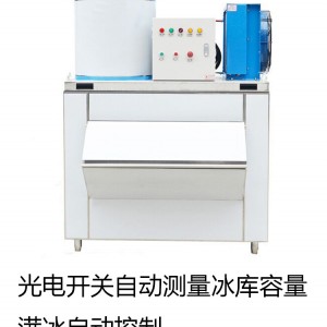 日产2.5吨大型制冰机 商用冷冻冰砖机制冰各种规格定做片冰机