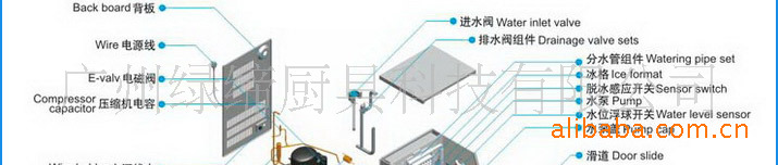 绿缔ZB-80B 商用制冰机 运行状况实时显示 冰厚可调 冰块更透明