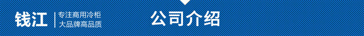 钱江家用小型制冰机 奶茶店方冰块不锈钢制冰机 冰块机厨房设备