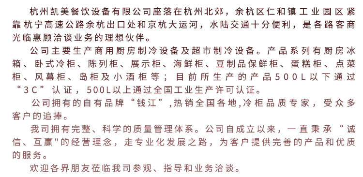 钱江家用小型制冰机 奶茶店方冰块不锈钢制冰机 冰块机厨房设备