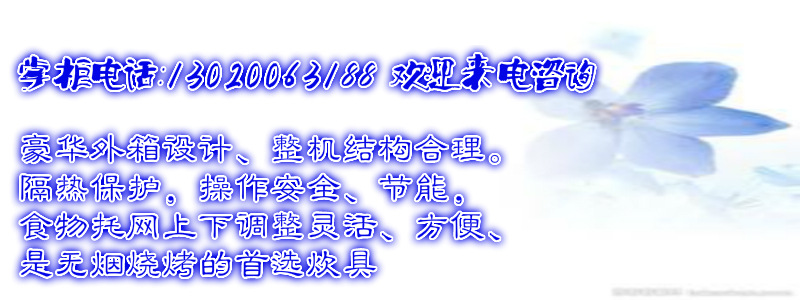 2014 热款丸美牌商用烤鱼炉 8头燃气红外线面火炉 上火下烤式烤箱