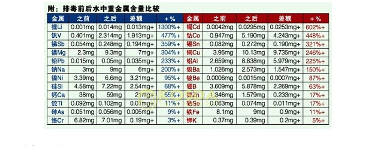 双人负离子细胞排毒仪 足部泡脚排毒仪 桑拿足浴设备厂家特价直销