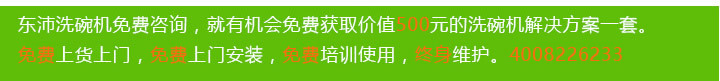 洗碗机咖啡厅商用台下式小型全自动洗杯机酒吧一体式快餐盘刷碗机